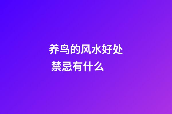 养鸟的风水好处 禁忌有什么